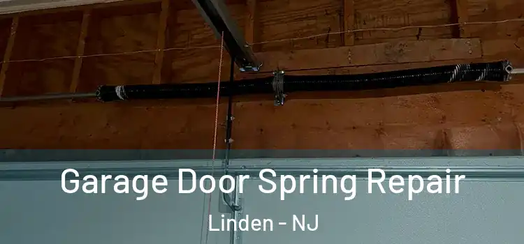  Garage Door Spring Repair Linden - NJ